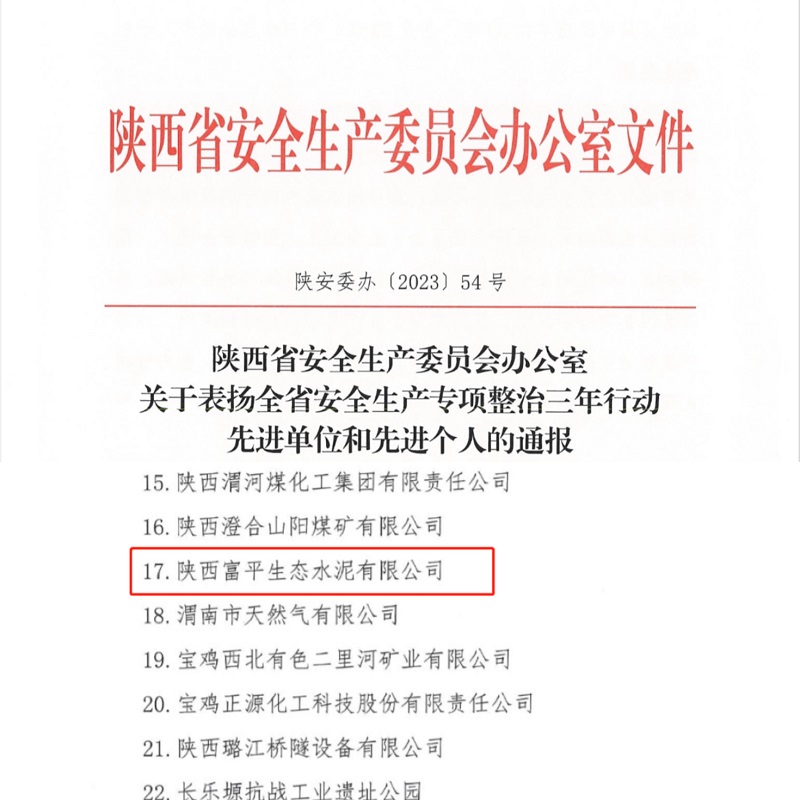 喜報！富平公司榮獲“陜西省安全生產(chǎn)專項整治三年行動先進(jìn)單位”稱號！